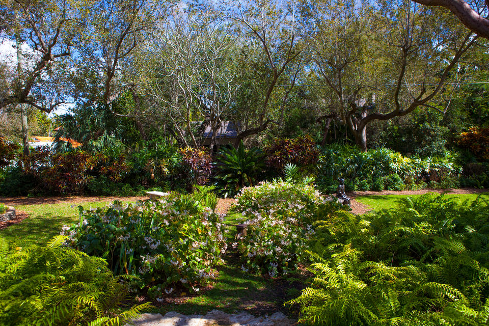 Coral Gables Landscaping