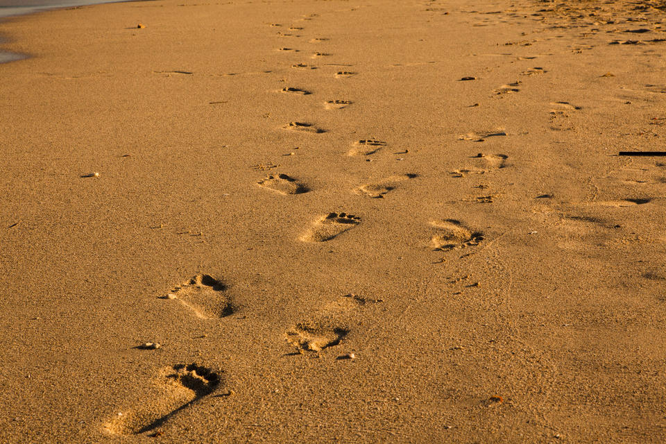 Footprints In Sand
